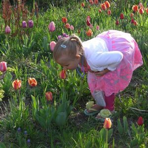 Meet your Posher, Trudy